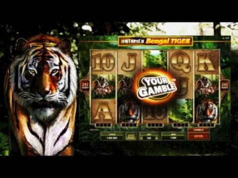 EUR 2625 No Deposit Bonus Casino at Jackpot City Casino