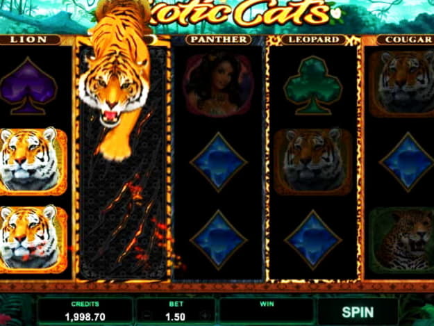 890% Casino match bonus at Fruity Casa Casino