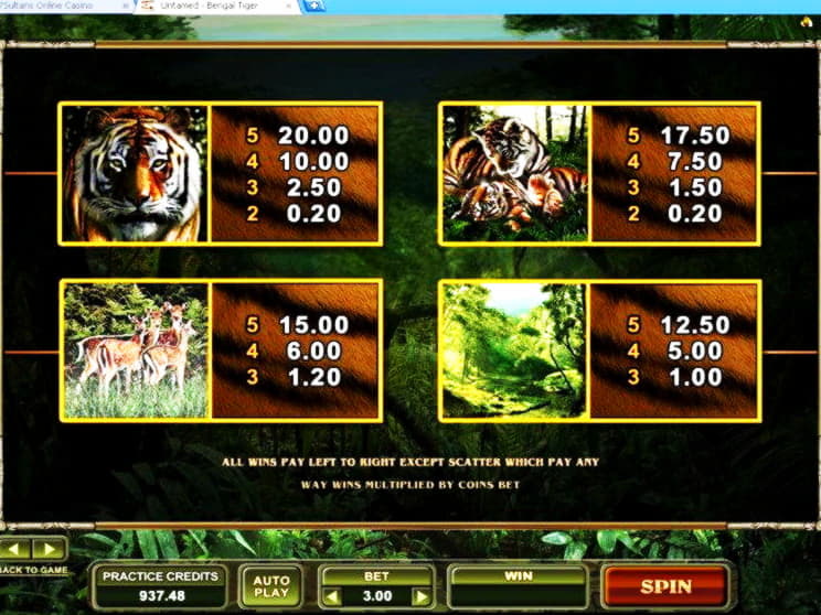 315% Signup Casino Bonus at Jackpot City Casino