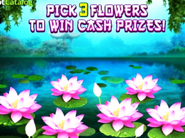 170 free spins at BGO Casino