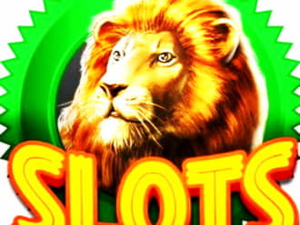 EURO 540 Free Cash at LV Bet Casino