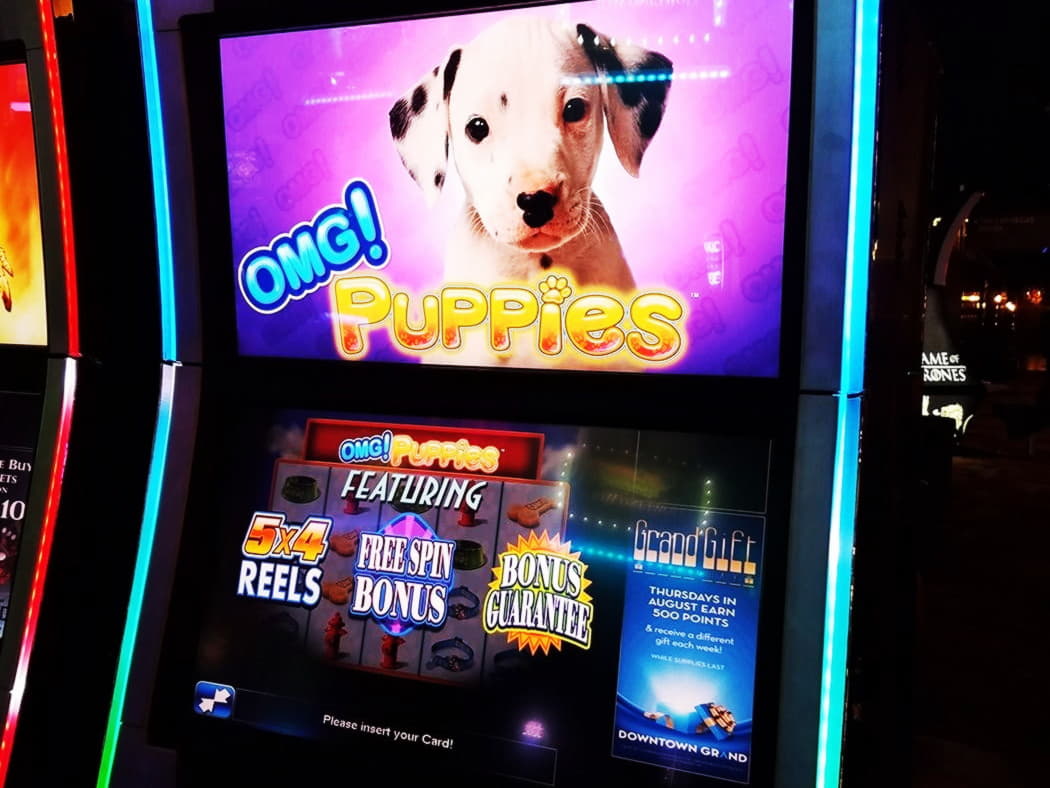 €555 Free Money at bWin Casino