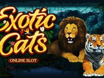 Eur 95 Mobile freeroll slot tournament at Mega Casino
