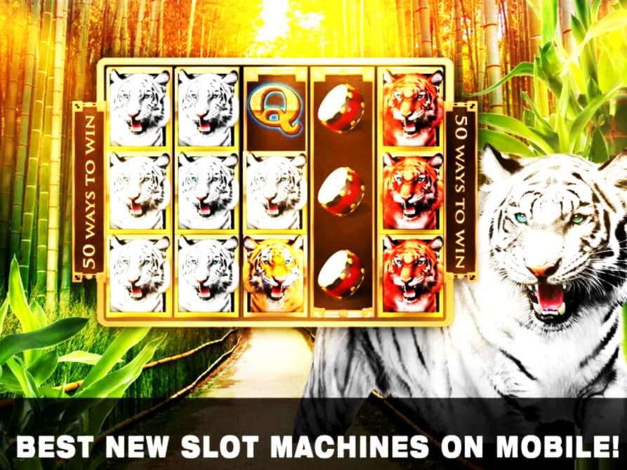 $195 No Deposit at Royal Panda Casino