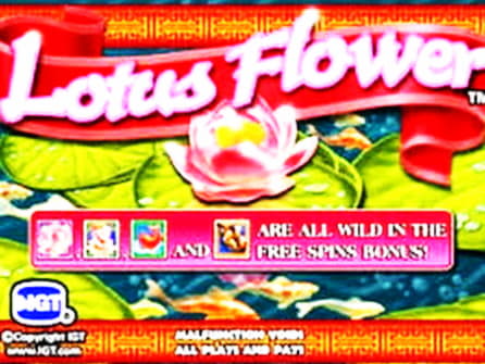 35 Free spins no deposit casino at Mansion Casino