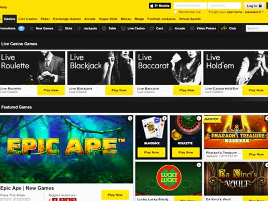 95 free casino spins at Leo Dubai Casino