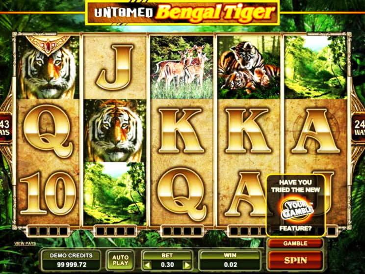 55 Free Spins no deposit casino at Fruity Casa Casino