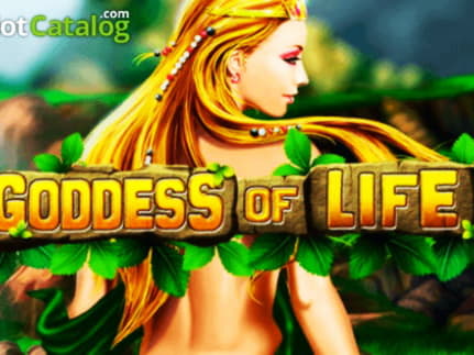 80% Welcome Bonus at Fruity Casa Casino
