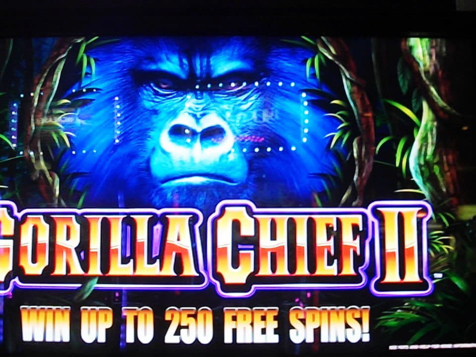 EURO 765 Daily freeroll slot tournament at Net Bet Casino