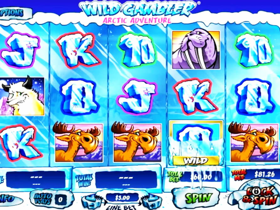 660% Match at a Casino at Tony Bet Casino