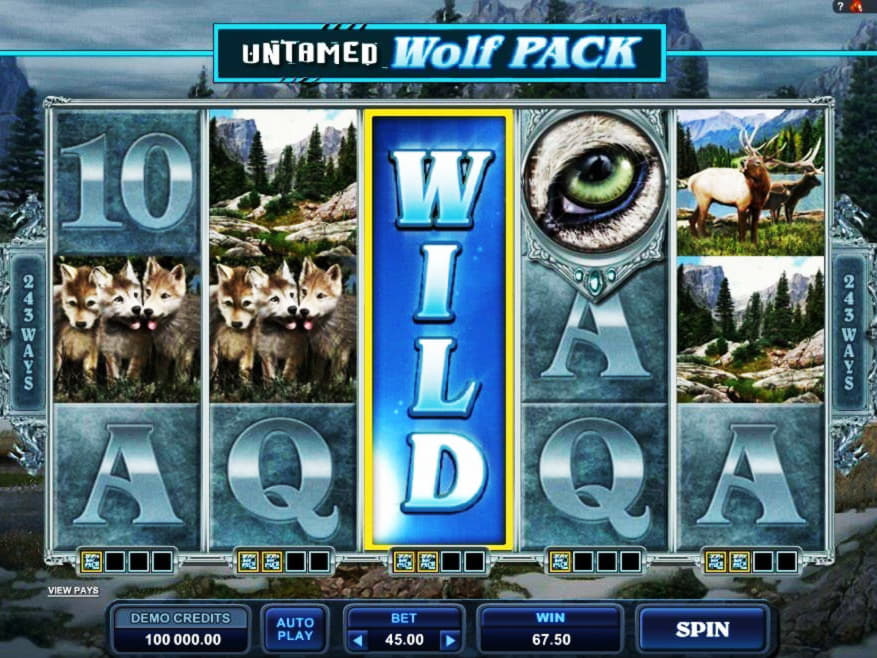 $610 Casino Tournament at Ikibu Casino