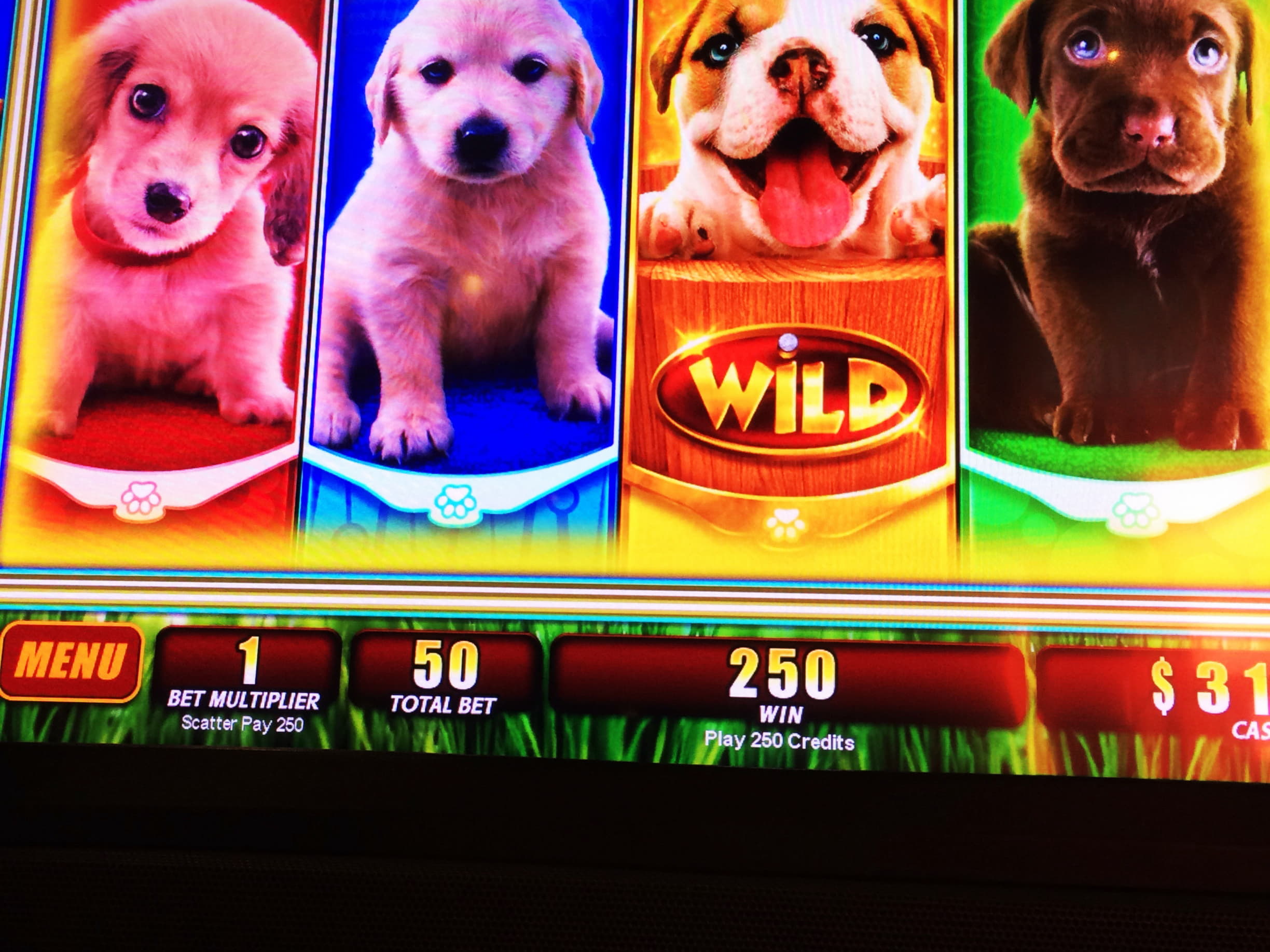 €350 Online Casino Tournament at Rizk Casino