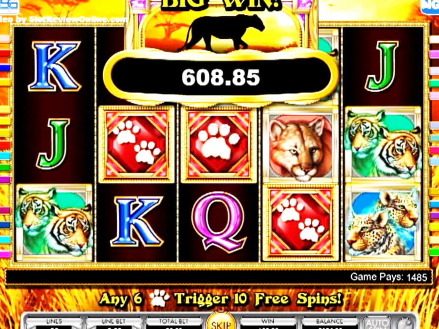 $190 Casino Tournament at Ikibu Casino