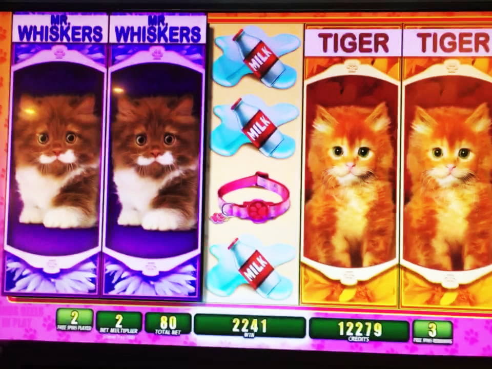 €525 free casino chip at Party Casino