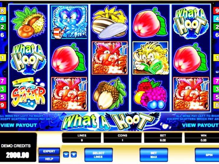 ﻿$1515 No Deposit at BGO Casino