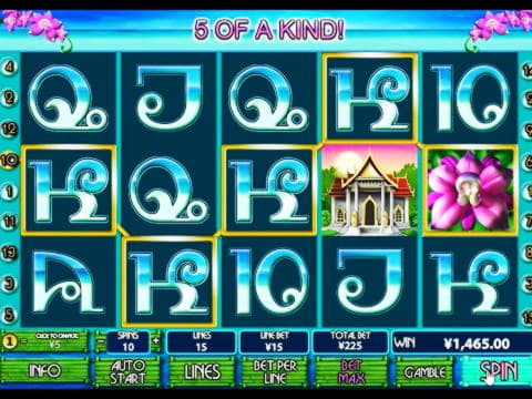 320% First deposit bonus at Royal Panda Casino