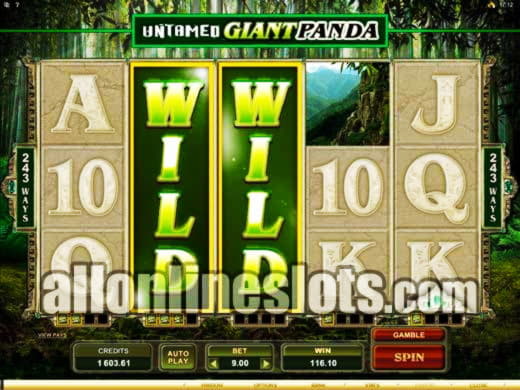 €4890 No Deposit Bonus Casino at Jackpot City Casino