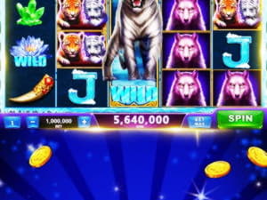 100 FREE Spins at Mega Casino