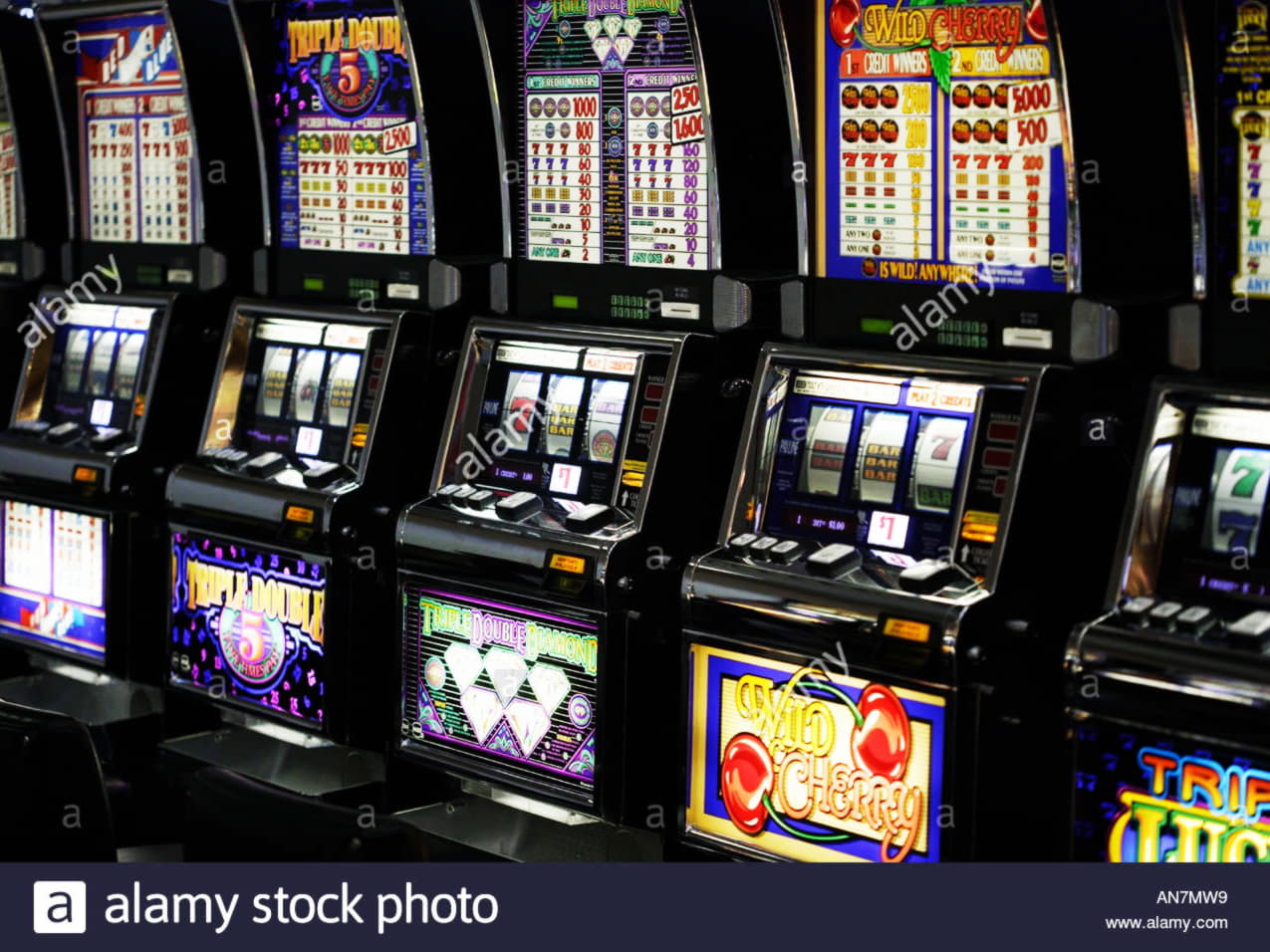 $4465 NO DEPOSIT BONUS CASINO at Genesis Casino