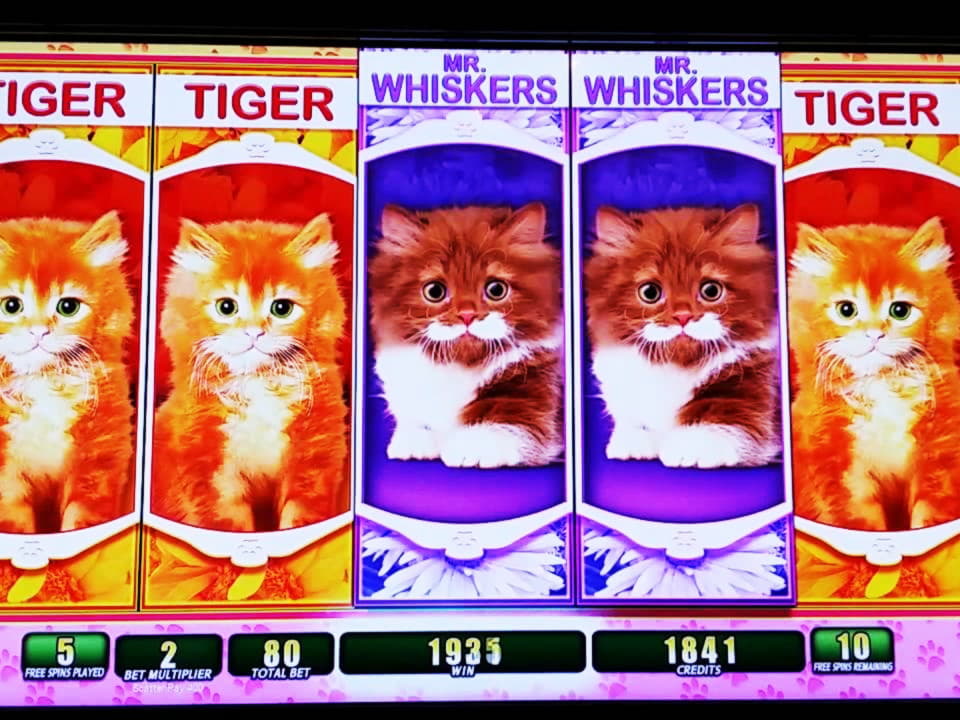 $670 no deposit casino bonus at King Billy Casino