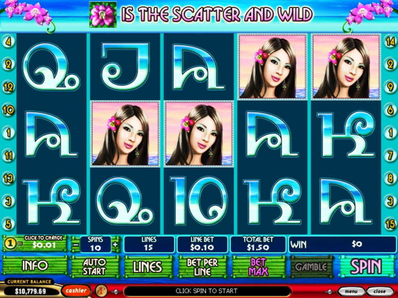 Eur 444 no deposit bonus code at Mr. Win Casino