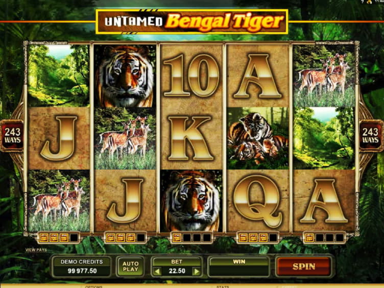 £3875 No Deposit Bonus at Super Lines Casino