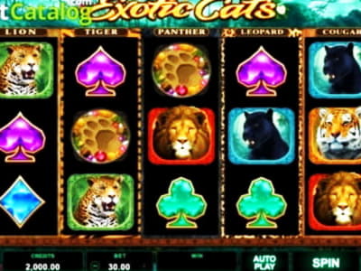 EUR 3010 NO DEPOSIT BONUS CODE at bWin Casino