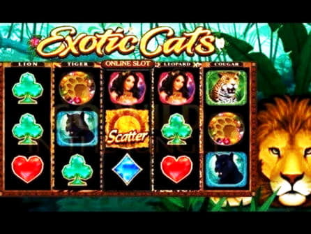 20 free spins at Betway Casino