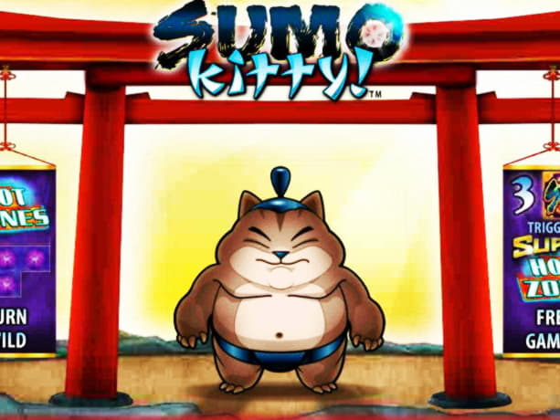 Eur 925 No Deposit at Ikibu Casino