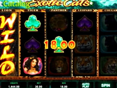 €945 Casino tournaments freeroll at bWin Casino