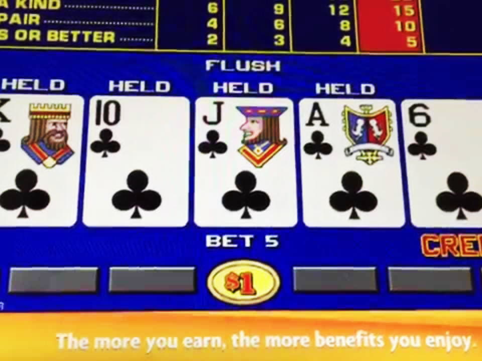 €3415 No Deposit Bonus Code at Royal Panda Casino