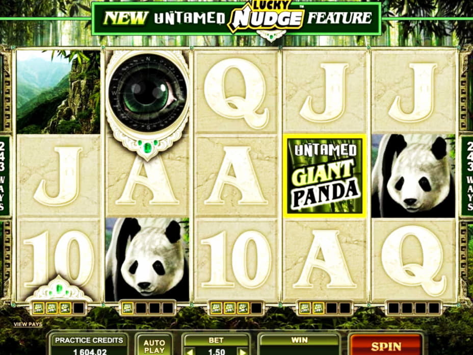 €520 Online Casino Tournament at Rizk Casino