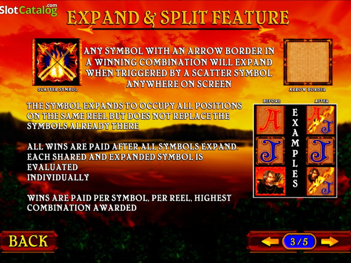 80 FREE Spins at BGO Casino