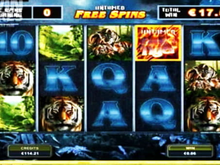 EURO 290 Daily freeroll slot tournament at Party Casino