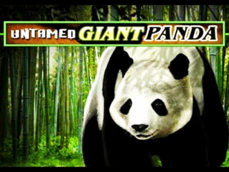 $220 Online Casino Tournament at Mega Casino