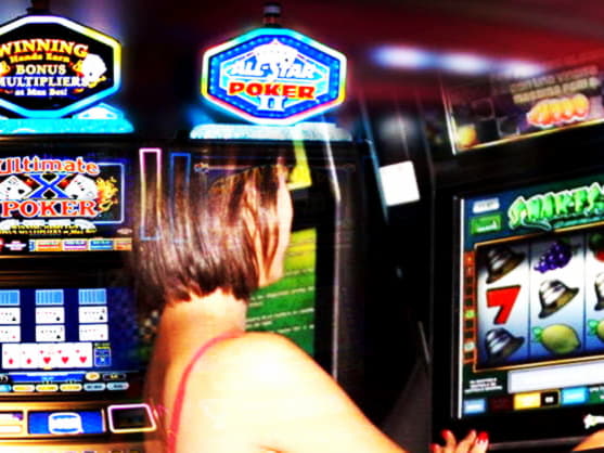 €445 Free Money at Net Bet Casino