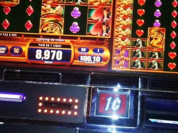 55 free spins no deposit at Ikibu Casino