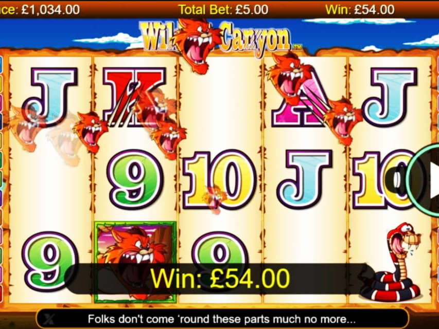 €380 Daily freeroll slot tournament at Joy Casino