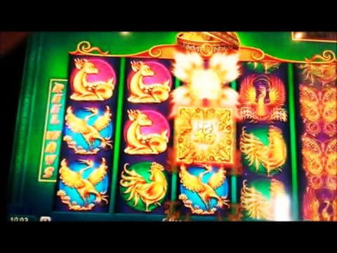 £205 Daily freeroll slot tournament at All Slots Casino