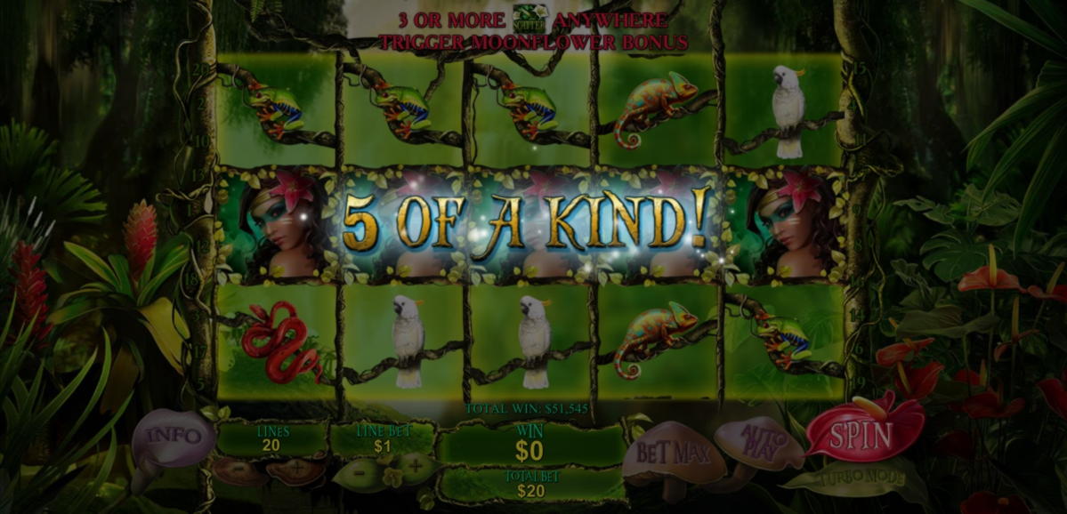 135 Free Spins Casino at All Slots Casino
