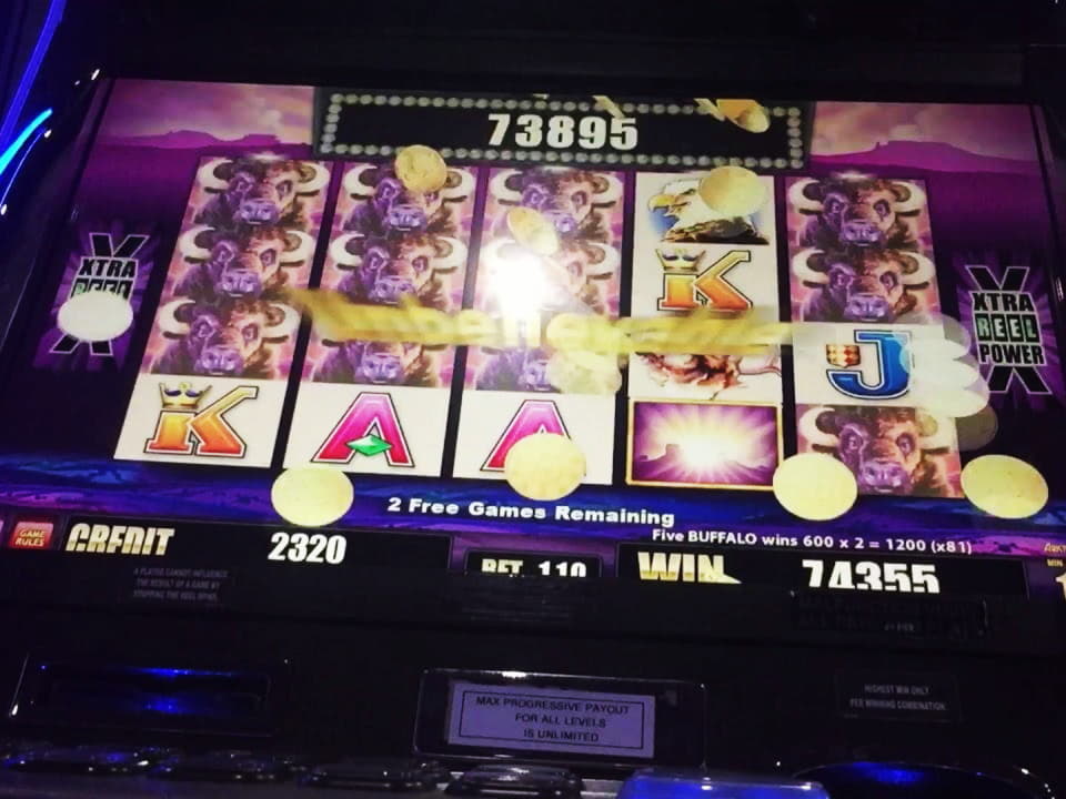 ﻿$4560 No deposit bonus code at Leo Dubai Casino