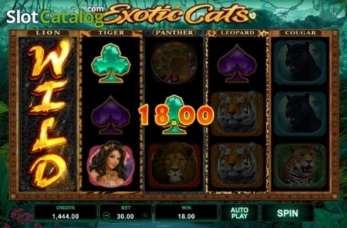 $5555 NO DEPOSIT BONUS CASINO at Super Lines Casino