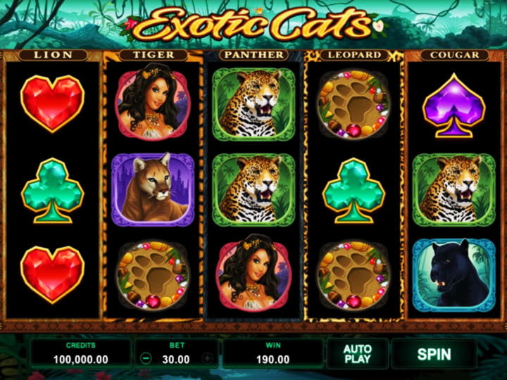 €855 No deposit bonus at Vegas Hero Casino