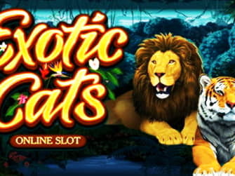 ﻿$66 Free Cash at Spinland Casino