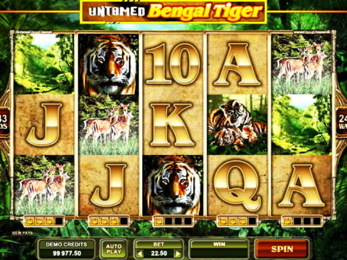 €275 Free Chip at Rizk Casino