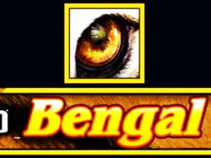44 Free Spins Casino at Wink Slots Casino