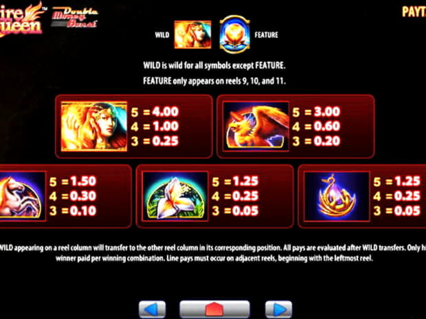 $645 Daily freeroll slot tournament at Spin Palace Casino