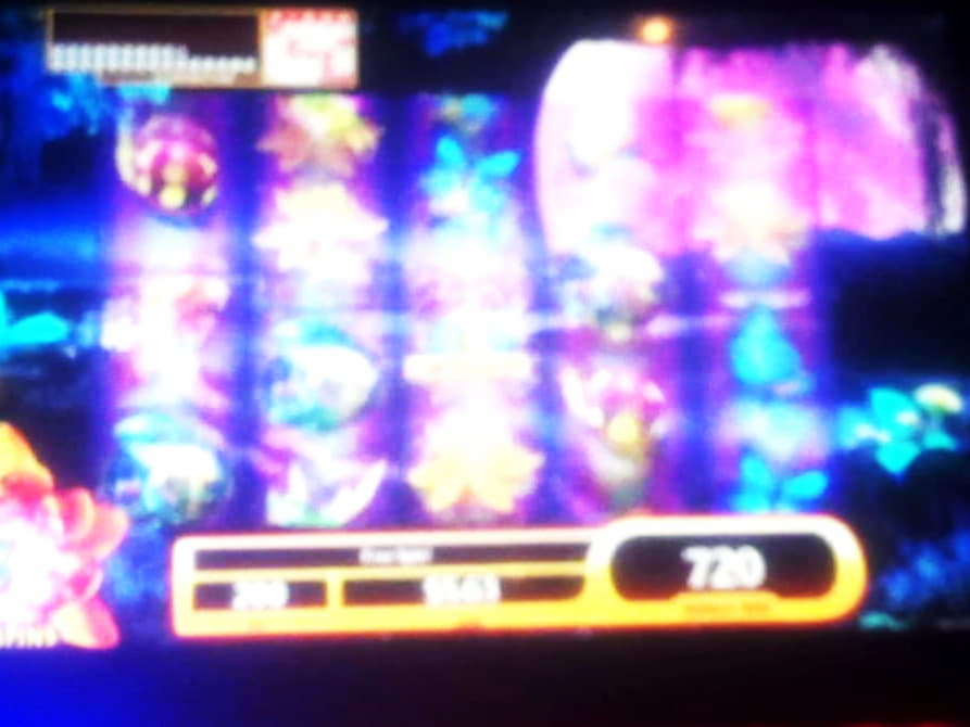 EUR 440 No Deposit Bonus Code at Party Casino
