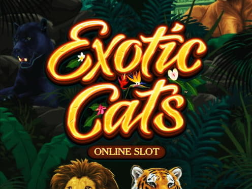 655% Match Bonus Casino at Come On Casino