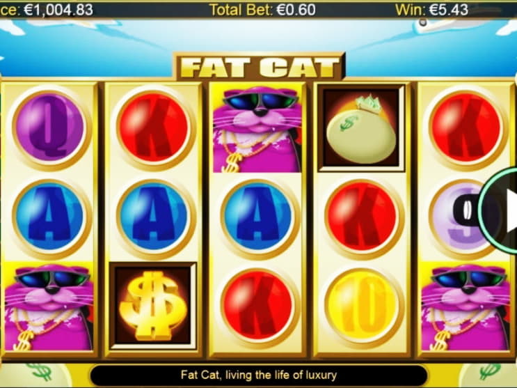 99 FREE SPINS at Rizk Casino